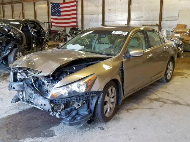 1HGCP368X9A023849 - 2009 HONDA ACCORD EXL GOLD photo 2