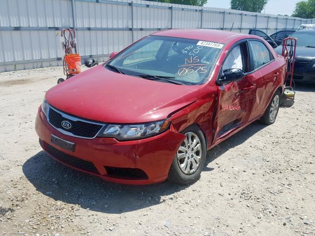 KNAFU4A25D5730675 - 2013 KIA FORTE EX RED photo 2