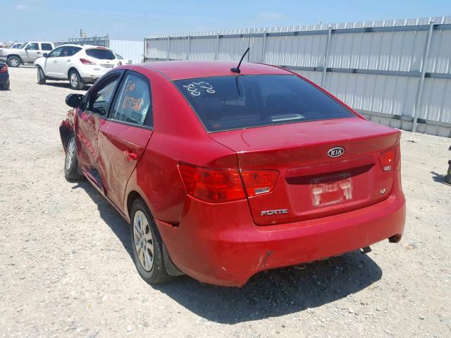 KNAFU4A25D5730675 - 2013 KIA FORTE EX RED photo 3