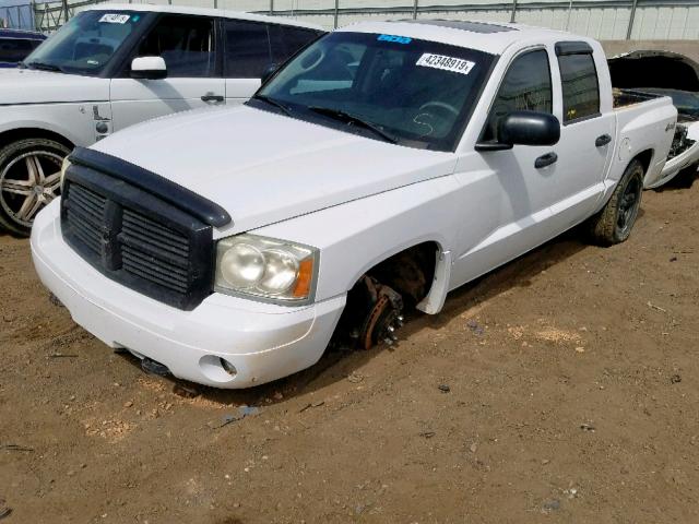 1D7HW48P17S268022 - 2007 DODGE DAKOTA QUA WHITE photo 2