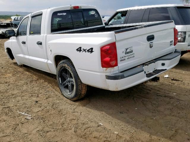 1D7HW48P17S268022 - 2007 DODGE DAKOTA QUA WHITE photo 3