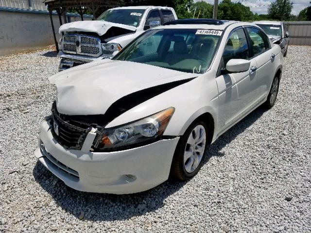 5KBCP3F8XAB014967 - 2010 HONDA ACCORD EXL WHITE photo 2