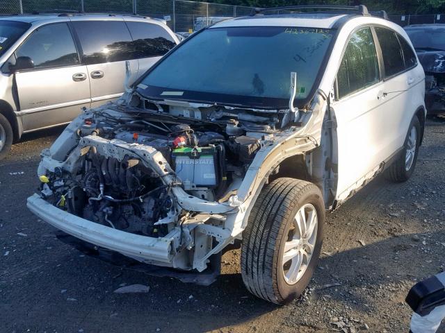 5J6RE4H79BL066284 - 2011 HONDA CR-V EXL WHITE photo 2