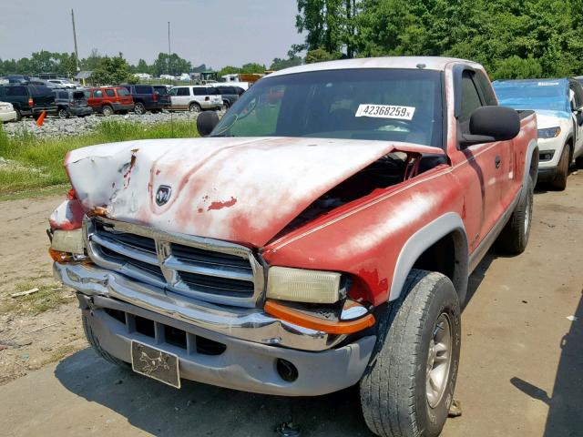 1B7GG22X0YS800295 - 2000 DODGE DAKOTA RED photo 2