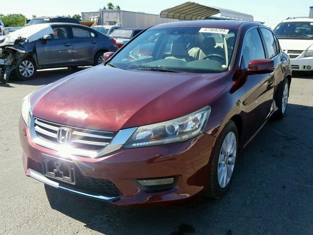 1HGCR2F83EA177592 - 2014 HONDA ACCORD EXL RED photo 2