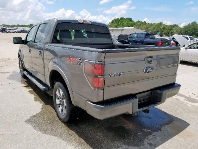 1FTFW1CT8DFA27292 - 2013 FORD F150 SUPER GRAY photo 3