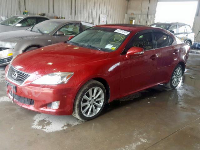 JTHCK262492031148 - 2009 LEXUS IS 250 RED photo 2