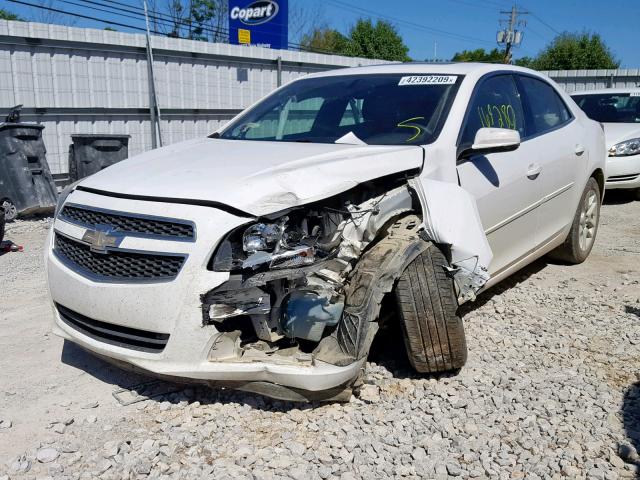 1G11C5SA2DF144580 - 2013 CHEVROLET MALIBU 1LT თეთრი ფოტო 2