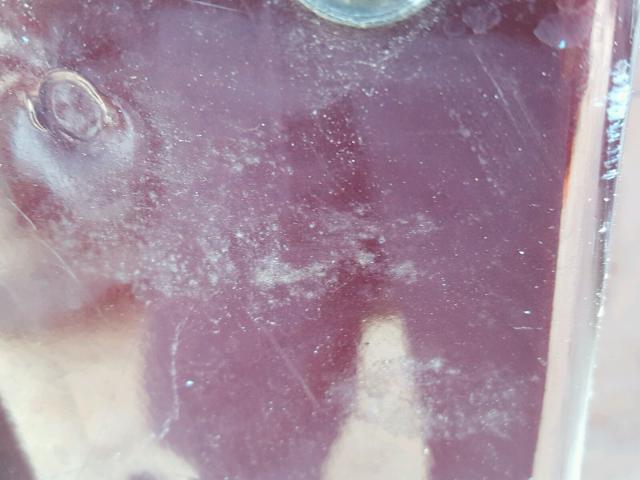 1GNDV23L06D115503 - 2006 CHEVROLET UPLANDER L 勃艮第红 照片 10