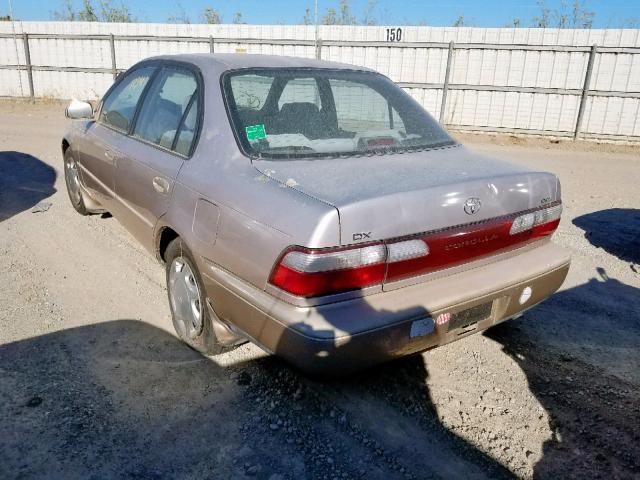 1NXBB02E7VZ635398 - 1997 TOYOTA COROLLA DX TAN photo 3