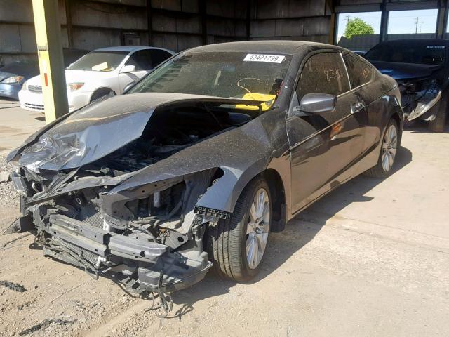 1HGCS22879A012323 - 2009 HONDA ACCORD EXL GRAY photo 2