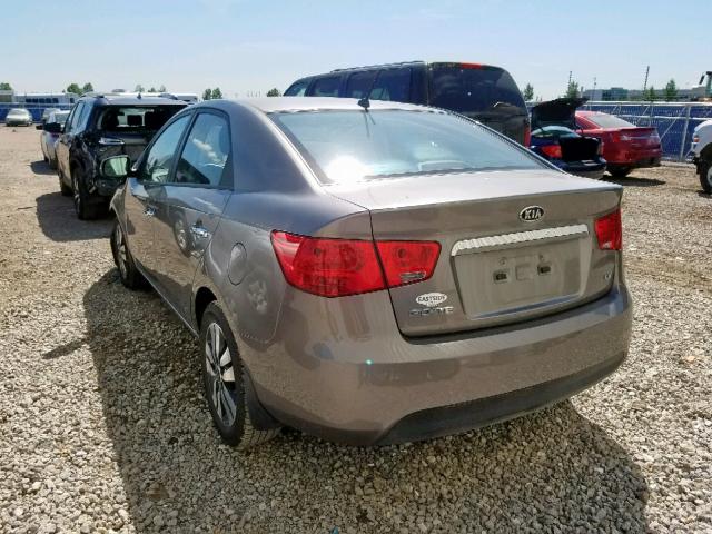 KNAFU4A25D5647425 - 2013 KIA FORTE EX GRAY photo 3