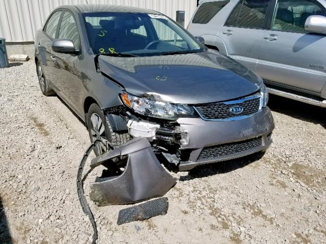 KNAFU4A25D5647425 - 2013 KIA FORTE EX GRAY photo 9