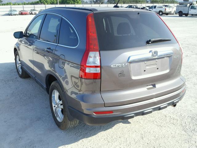 5J6RE4H78AL086217 - 2010 HONDA CR-V EXL BROWN photo 3