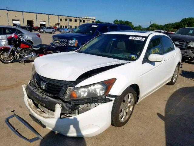 JHMCP26898C071952 - 2008 HONDA ACCORD EXL WHITE photo 2