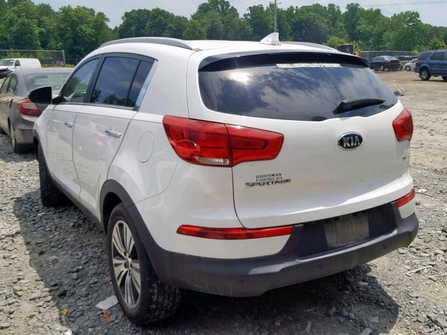 KNDPC3AC5E7556092 - 2014 KIA SPORTAGE E WHITE photo 3