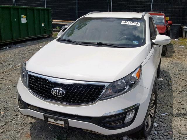 KNDPC3AC5E7556092 - 2014 KIA SPORTAGE E WHITE photo 9