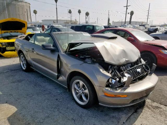 1ZVHT85HX55165181 - 2005 FORD MUSTANG GT GRAY photo 1