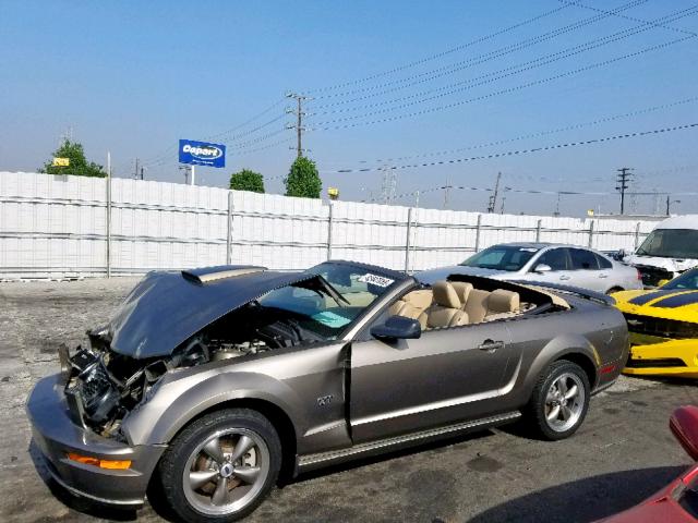 1ZVHT85HX55165181 - 2005 FORD MUSTANG GT GRAY photo 9