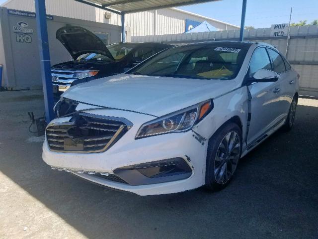 5NPE34AB4FH170443 - 2015 HYUNDAI SONATA SPO WHITE photo 2