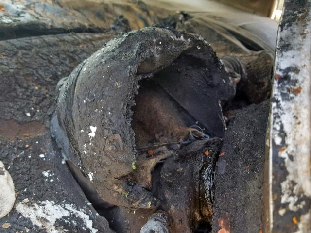 3VWCP21C32M403898 - 2002 VOLKSWAGEN NEW BEETLE მწვანე ფოტო 8