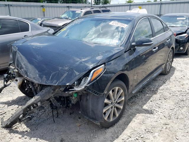 5NPE34AF4GH304369 - 2016 HYUNDAI SONATA SPO BLACK photo 2