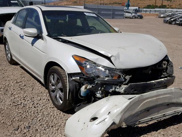 1HGCP3F88AA000834 - 2010 HONDA ACCORD EXL WHITE photo 1