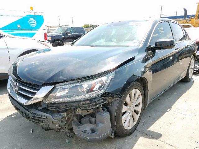 1HGCR2F8XEA239067 - 2014 HONDA ACCORD EXL BLACK photo 2