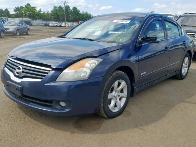 1N4CL21E38C164336 - 2008 NISSAN ALTIMA HYB BLUE photo 2