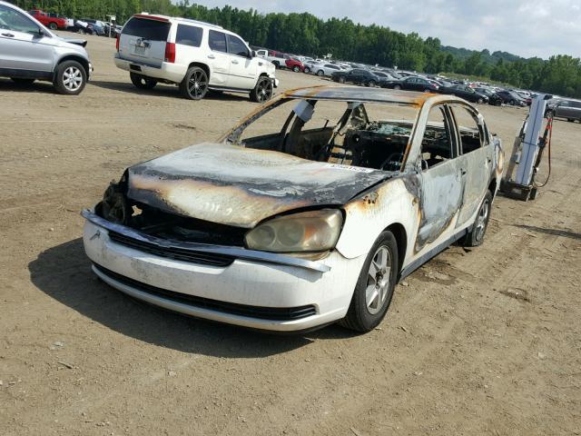 1G1ZT54804F125264 - 2004 CHEVROLET MALIBU LS დამწვარი ფოტო 2