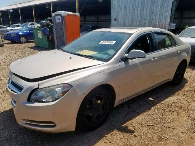 1G1ZC5E07AF309184 - 2010 CHEVROLET MALIBU 1LT TAN photo 2