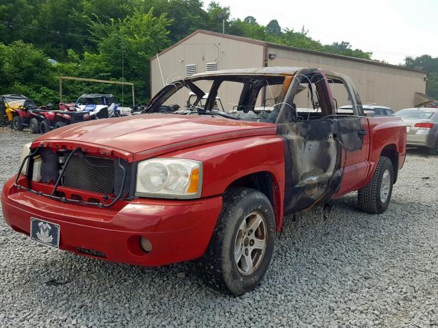 1D7HE48N56S666284 - 2006 DODGE DAKOTA QUA RED photo 2