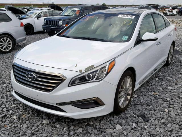 5NPE34AF9FH103968 - 2015 HYUNDAI SONATA SPO WHITE photo 2