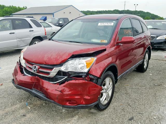 5J6RE4H78AL015938 - 2010 HONDA CR-V EXL BURGUNDY photo 2