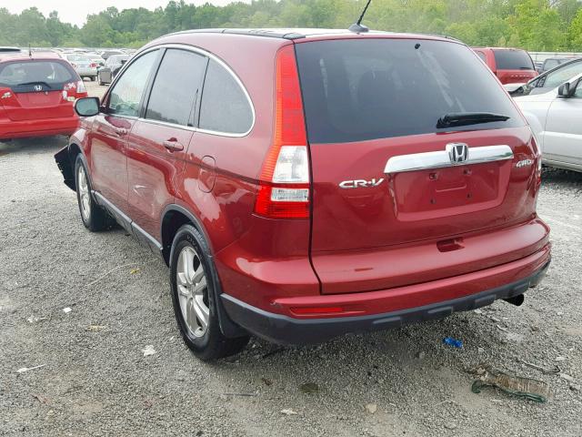 5J6RE4H78AL015938 - 2010 HONDA CR-V EXL BURGUNDY photo 3