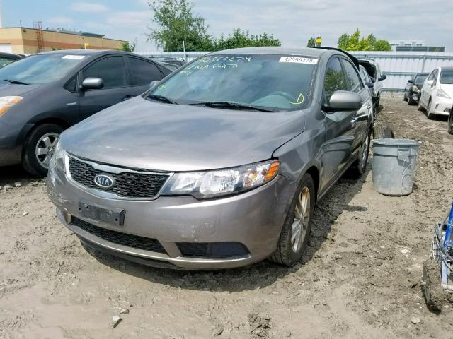 KNAFU4A24C5469764 - 2012 KIA FORTE EX GRAY photo 2