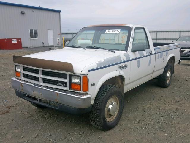 1B7GR14X7JS731225 - 1988 DODGE DAKOTA WHITE photo 2