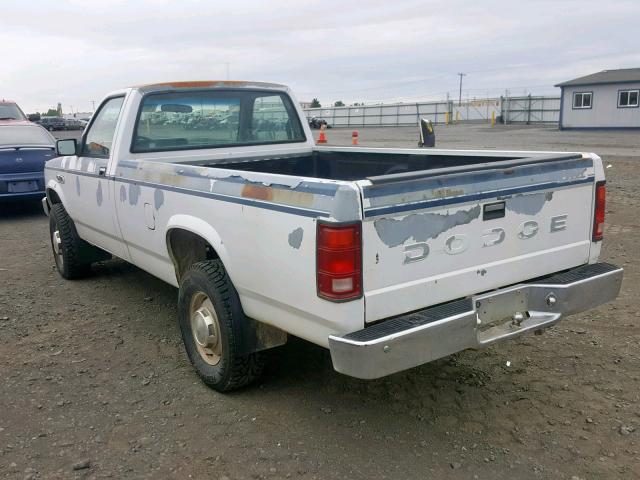 1B7GR14X7JS731225 - 1988 DODGE DAKOTA WHITE photo 3