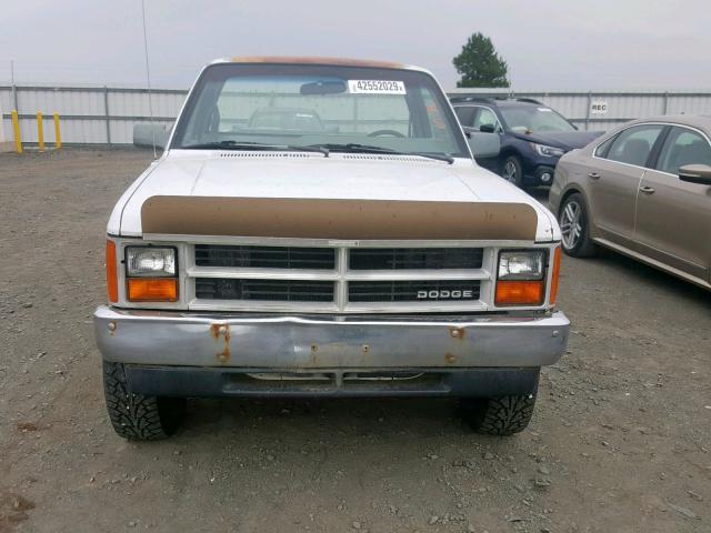 1B7GR14X7JS731225 - 1988 DODGE DAKOTA WHITE photo 9