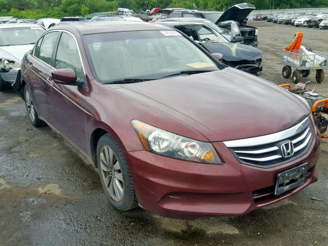 1HGCP2F87BA033013 - 2011 HONDA ACCORD EXL BURGUNDY photo 1