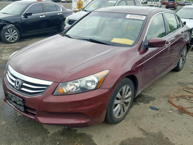 1HGCP2F87BA033013 - 2011 HONDA ACCORD EXL BURGUNDY photo 2