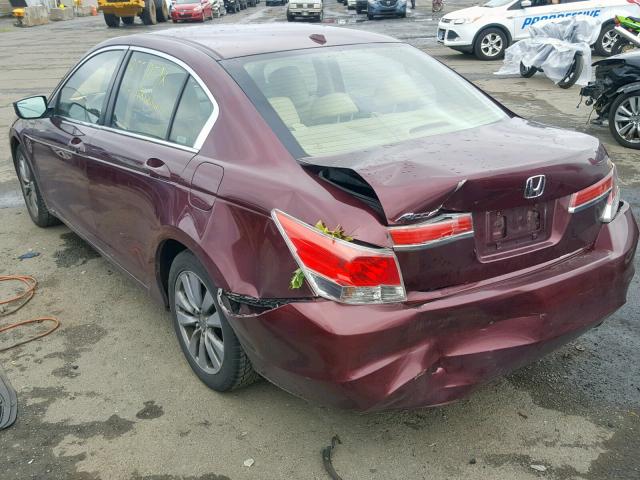 1HGCP2F87BA033013 - 2011 HONDA ACCORD EXL BURGUNDY photo 3