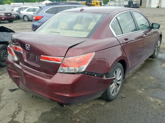 1HGCP2F87BA033013 - 2011 HONDA ACCORD EXL BURGUNDY photo 4