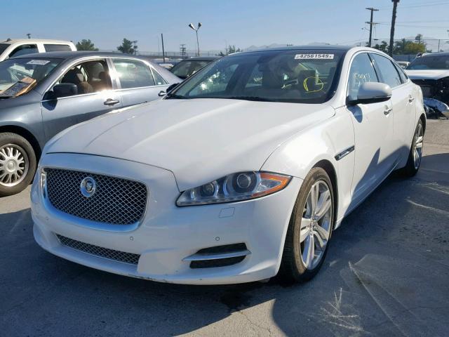 SAJWA2GB9CLV23872 - 2012 JAGUAR XJL WHITE photo 2