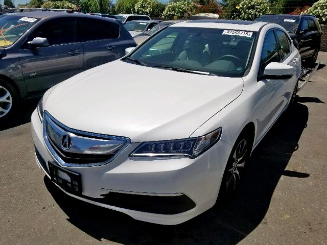 19UUB1F38FA010010 - 2015 ACURA TLX WHITE photo 2