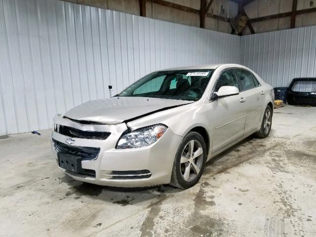 1G1ZC5E11BF347665 - 2011 CHEVROLET MALIBU 1LT 米色 照片 2