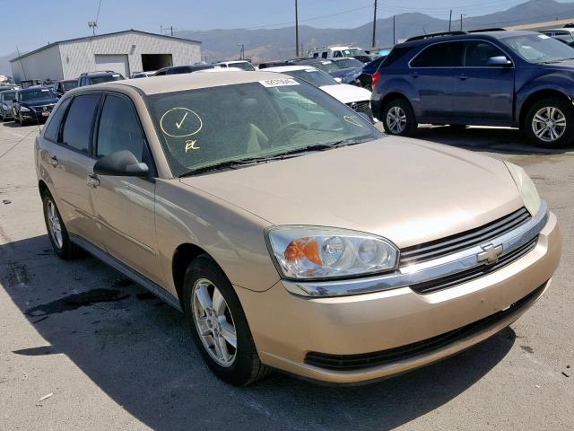 1G1ZT64854F219436 - 2004 CHEVROLET MALIBU MAX 金色 照片 1