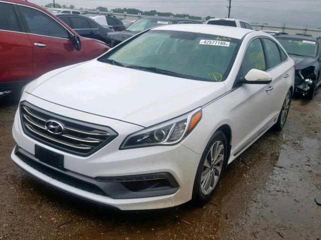 5NPE34AF5GH267607 - 2016 HYUNDAI SONATA SPO WHITE photo 2