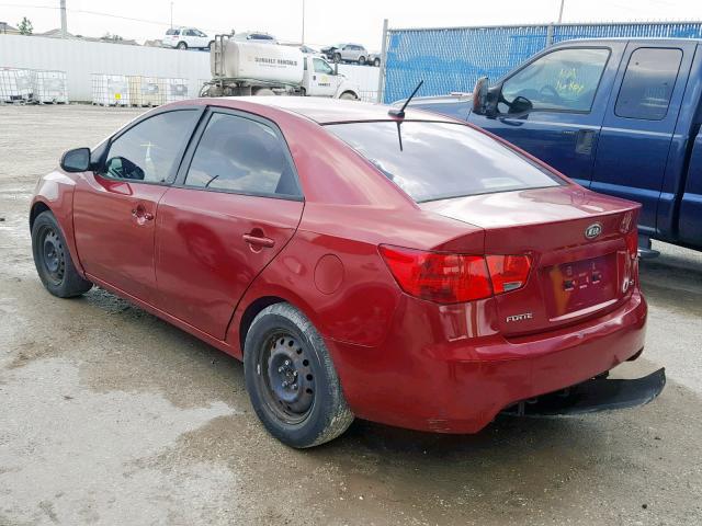 KNAFU4A24B5413788 - 2011 KIA FORTE EX RED photo 3