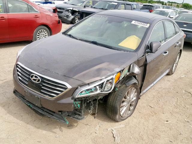 5NPE34AF7FH121823 - 2015 HYUNDAI SONATA SPO BROWN photo 2